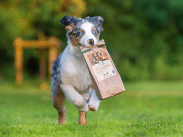 Alsa nature 10% korting op eerste aankoop