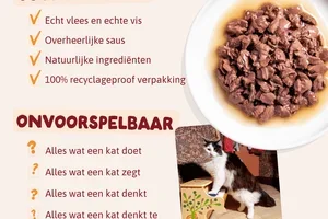 Waarom je kat fan gaat zijn?