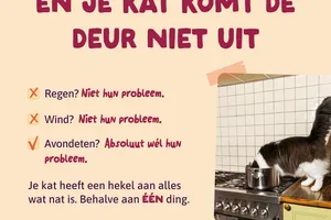Het is natvoerweer 🍂