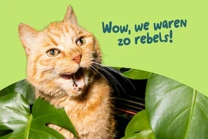 In dierentermen zijn we nu volwassen.