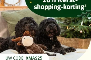 Nu 20% kerst-korting! 🎄
