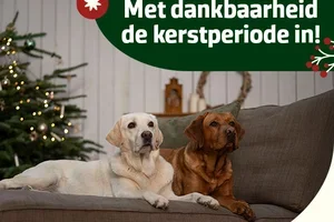 Bedankt en fijne feestdagen! 🐾