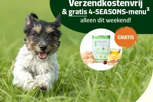 🌸Nu verzendkostenvrij & gratis 4-Seasons menu!