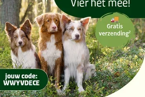🎁Vandaag verzendkostenvrij bestellen!
