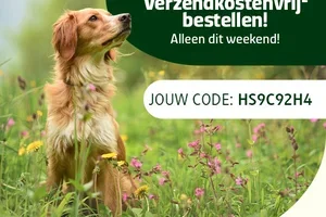 🥳 Het hele weekend verzendkostenvrij bestellen!