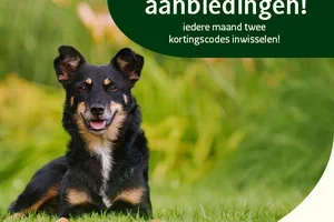 Hierbij alvast uw kortingscodes voor Juli, Augustus en September