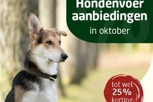 🍃 Bekijk de oktober aanbiedingen - tot 25% korting!