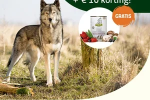 🤩 € 10 korting & gratis isegrim menu!