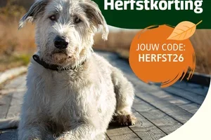 🍂 15% Herfstkorting op je hele bestelling!