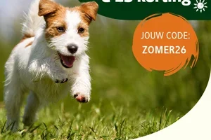 🌞 Nu 15,- Zomerkorting!