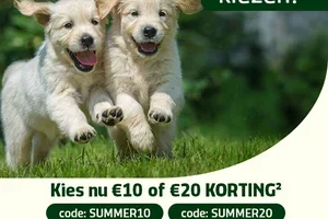 Wil je 10,- of 20,- Zomerkorting? Alleen vandaag nog!🐶