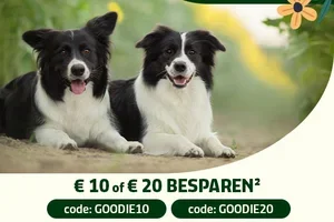 Vandaag 10,- of 20,- korting op je hele bestelling! 😍