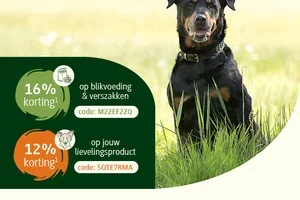 ❗Niet vergeten! 16% op natvoeding & 12% op een product naar keuze