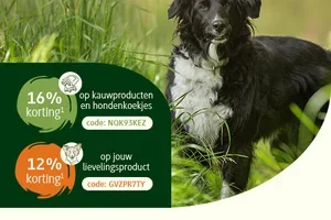 ❗Niet vergeten! 16% op kauwproducten en koekjes & 12% op een product naar keuze